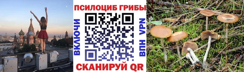 Галлюциногенные грибы GOLDEN TEACHER  Купить  Коммунар 